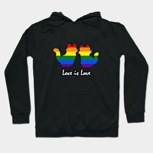 Love is Love - Cat Hoodie